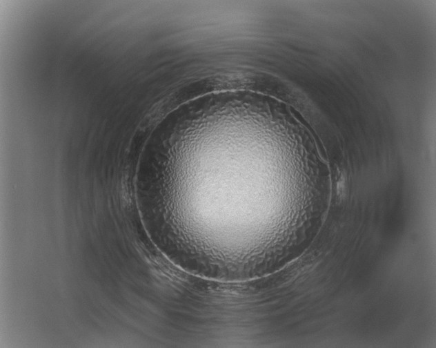 X0000068730819200605010957