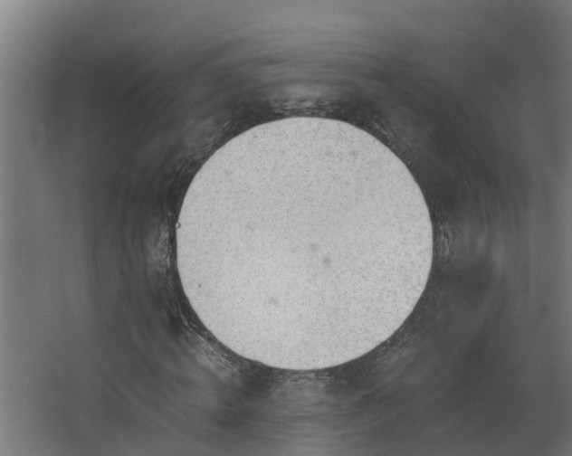 X0000068730820200605010957