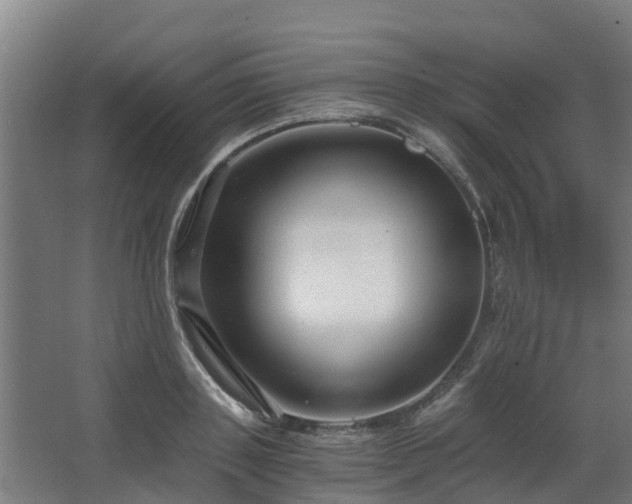 X0000068730843200605010957