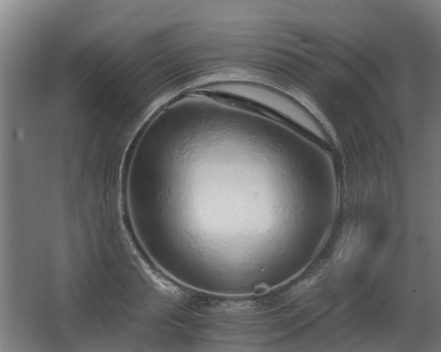 X0000068730845200605010957