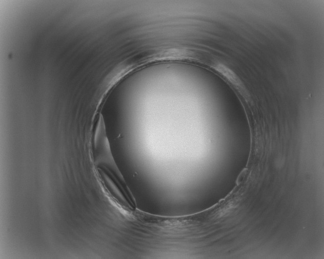 X0000068730850200605010957