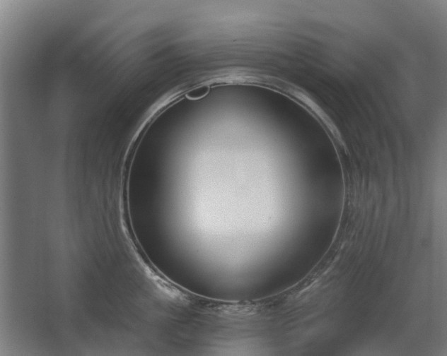 X0000068730861200605010957