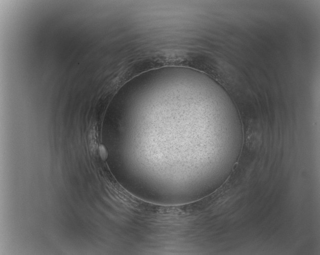 X0000068730866200605010957