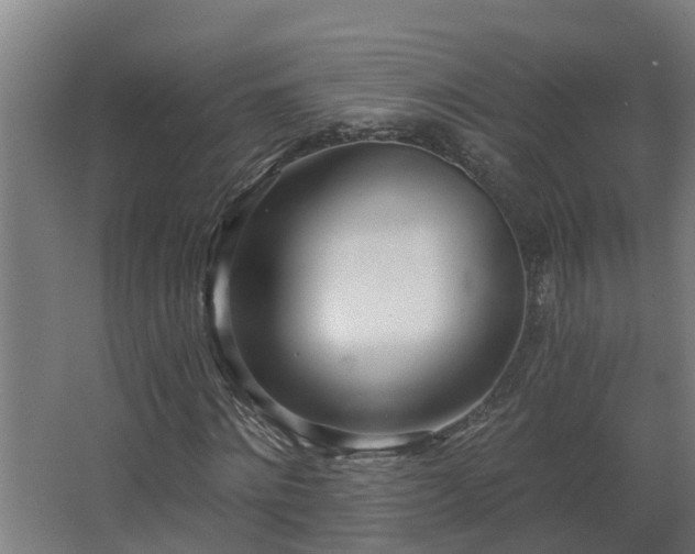 X0000068730868200605010957