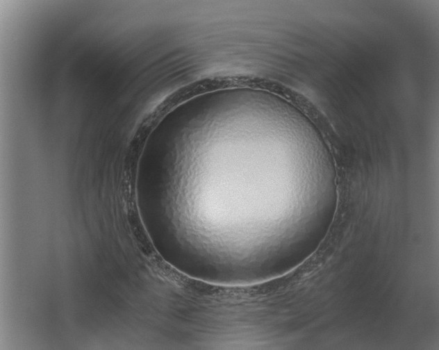 X0000068730871200605010957