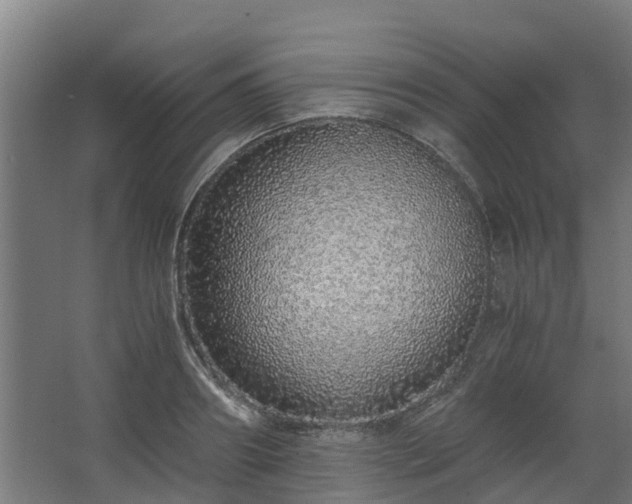 X0000068730890200605010956