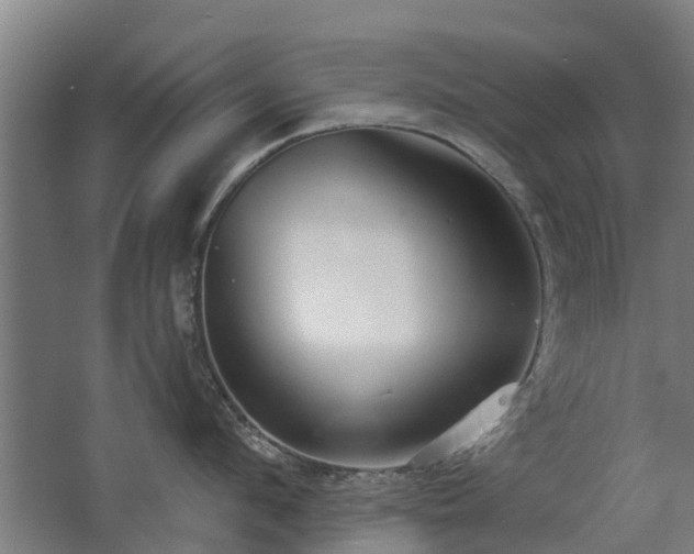 X0000068730912200605010956