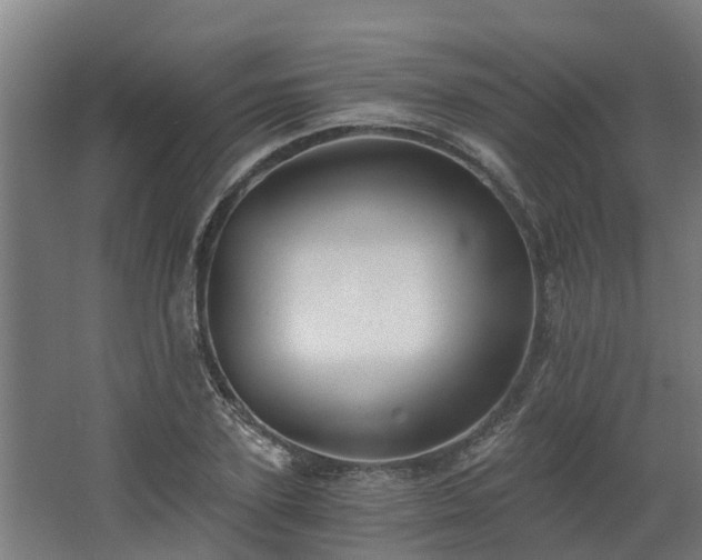 X0000068730931200605010955
