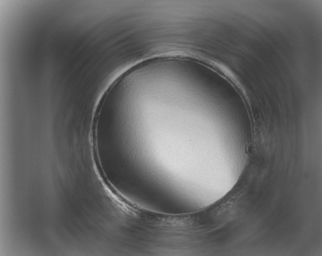 X0000068730951200605010956