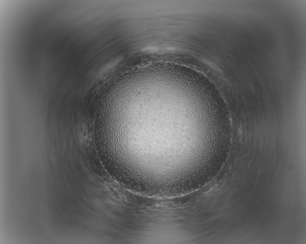X0000068730966200605010955