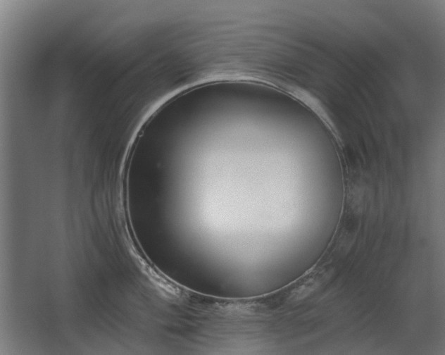 X0000068731004200605010954