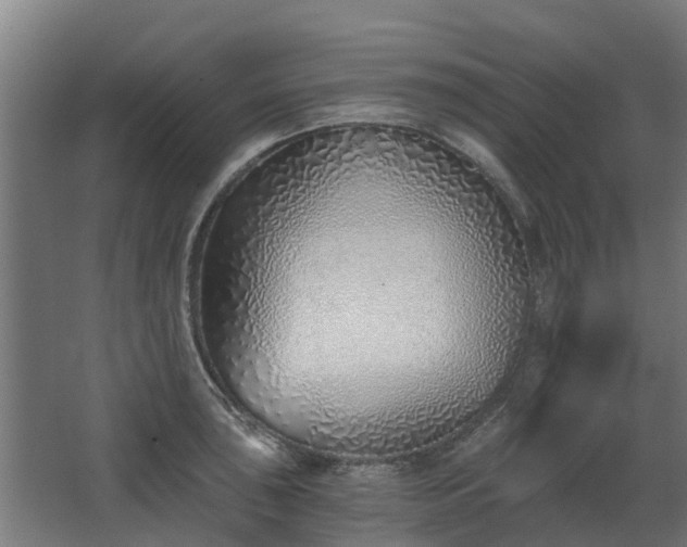 X0000068731043200605010954