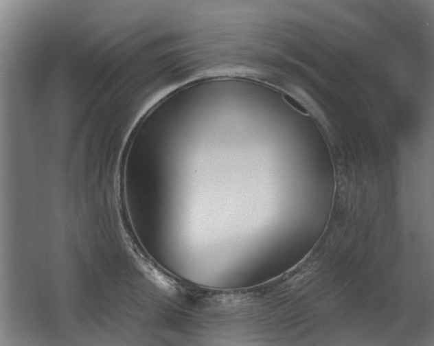 X0000068731044200605010954