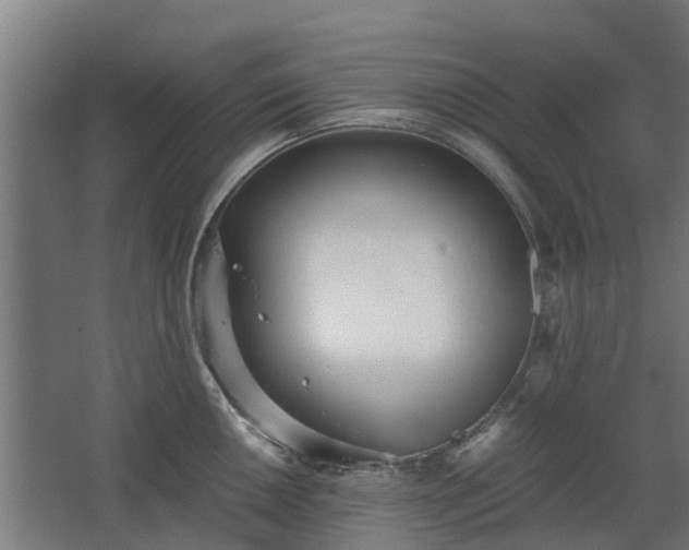 X0000068731050200605010954