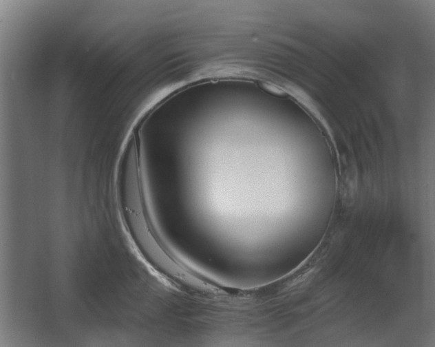 X0000068731053200605010954