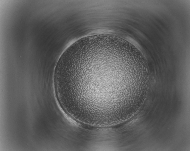 X0000068731055200605010954