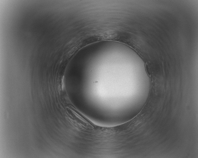 X0000068731058200605010953
