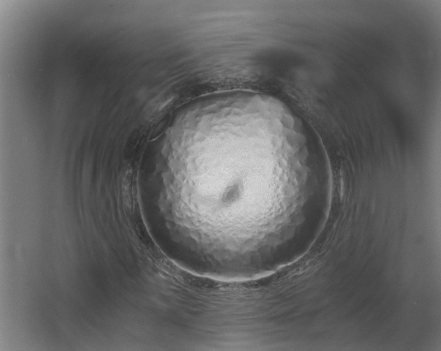 X0000068731059200605010953