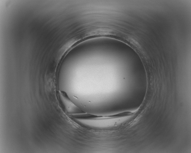 X0000068731081200605010953