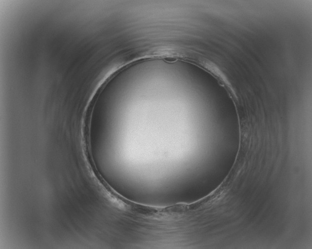 X0000068731091200605010953