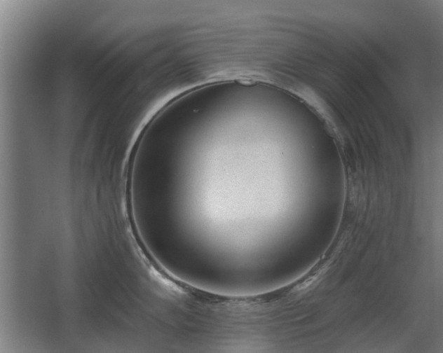 X0000068731102200605010953
