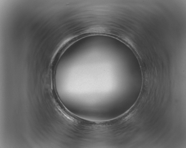 X0000068731123200605010952
