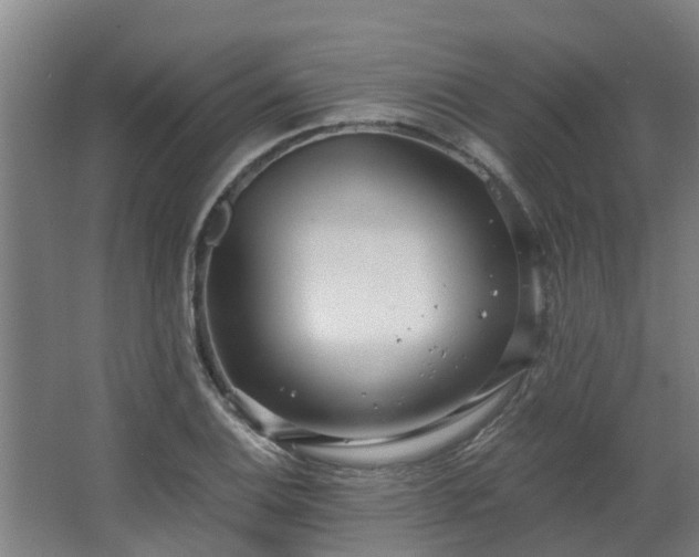 X0000068731124200605010952