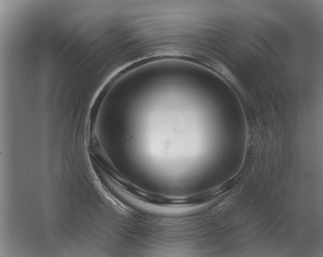 X0000068731132200605010952