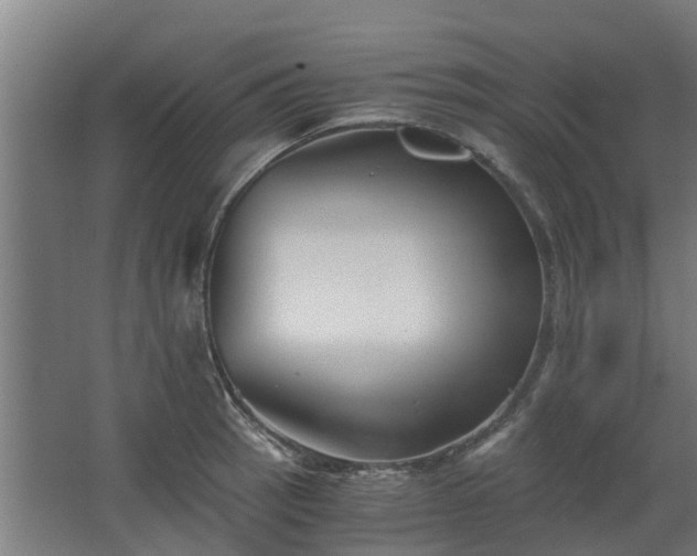 X0000068731137200605010952
