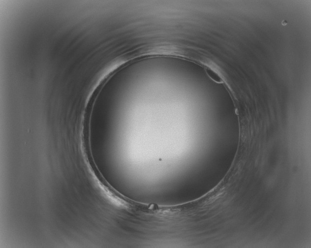 X0000068731139200605010952