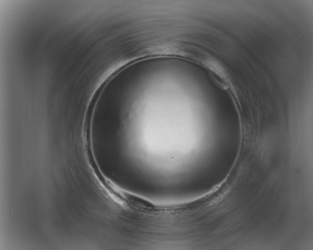 X0000068731141200605010952