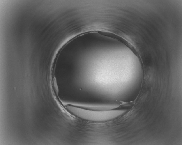 X0000068731144200605010952