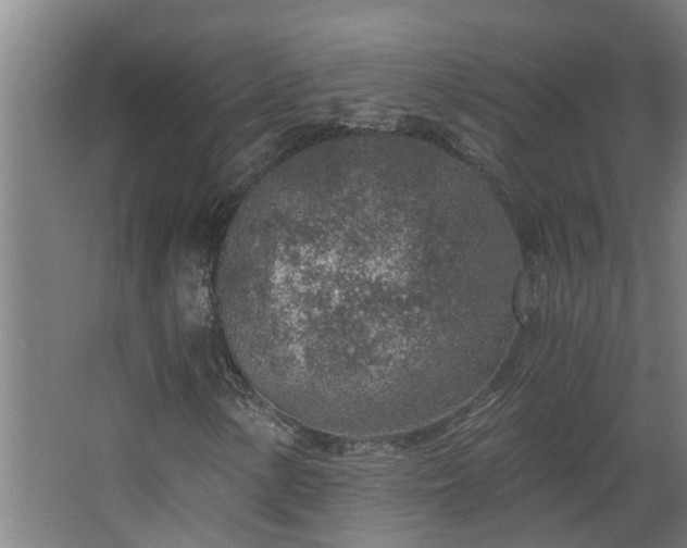 X0000068731154200605010952