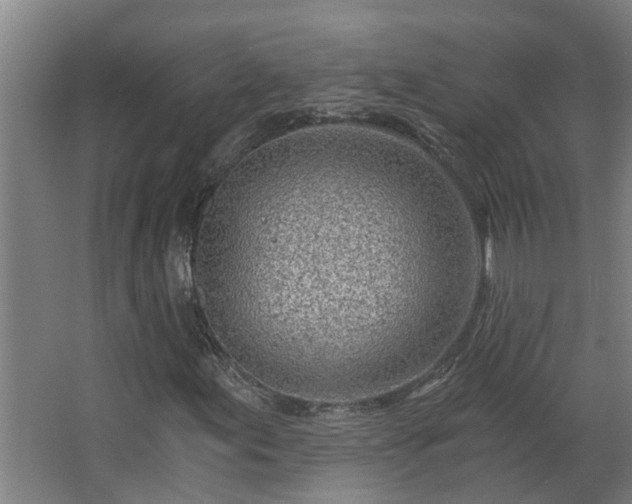 X0000068731155200605010952