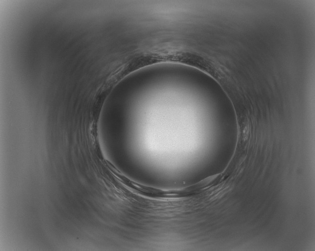 X0000068731156200605010952