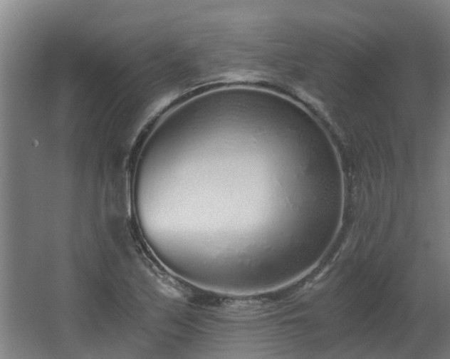 X0000068731171200605010951