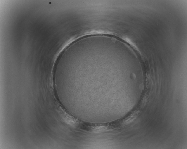 X0000068731173200605010951