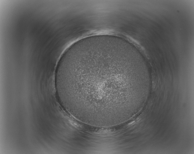 X0000068731174200605010951