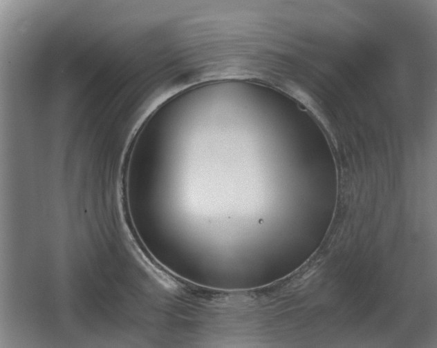 X0000068731187200605010951