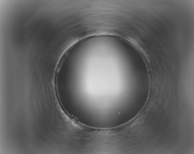 X0000068731189200605010951