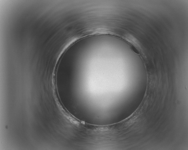 X0000068731190200605010951