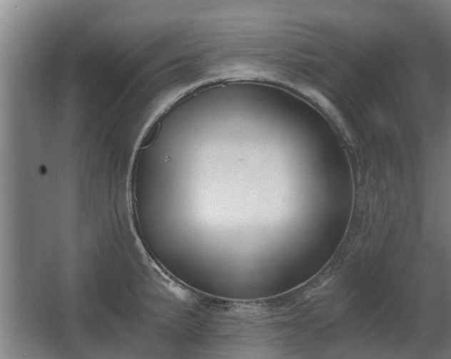 X0000068731191200605010951