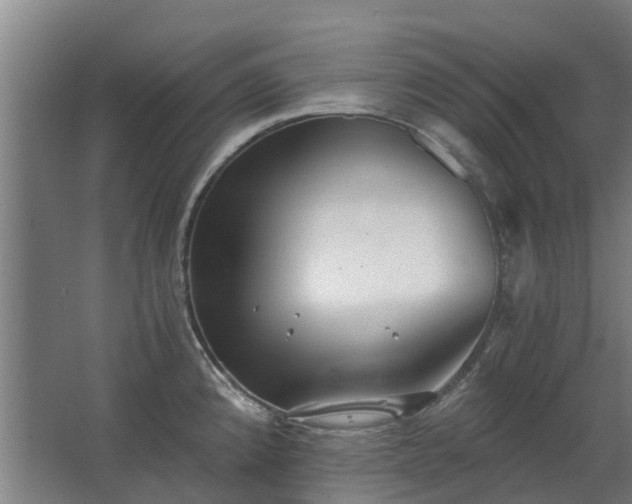 X0000068731192200605010951