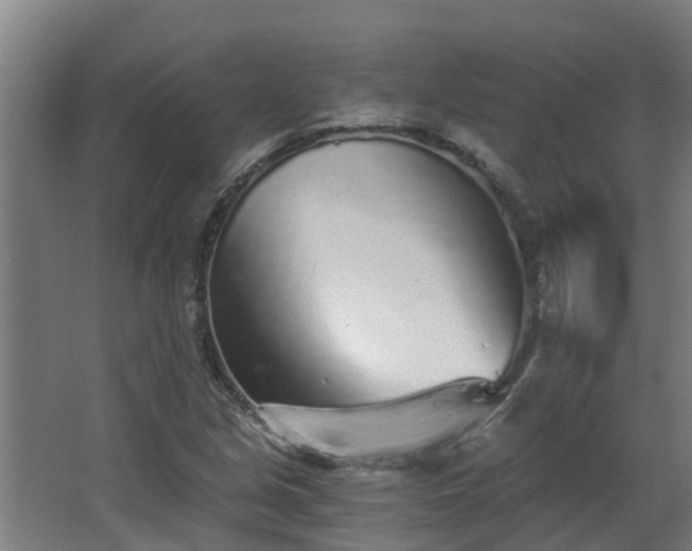 X0000068731213200605010950