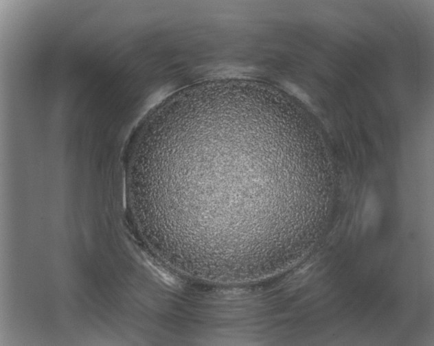 X0000068731219200605010951