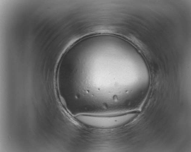 X0000068731240200605010951