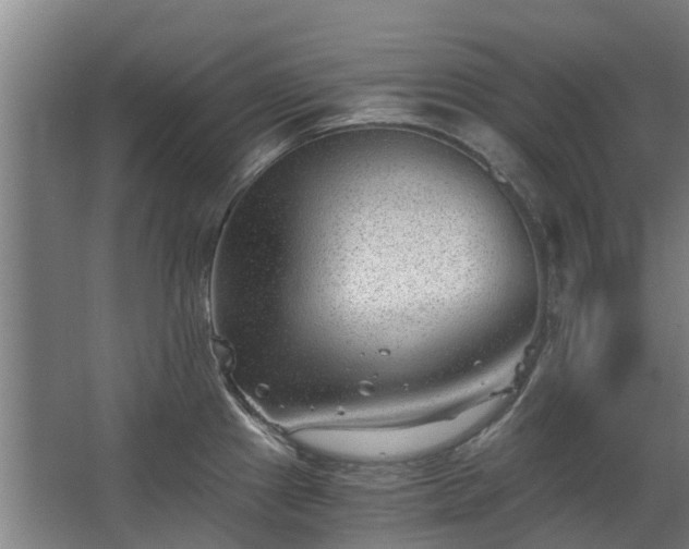 X0000068731241200605010951