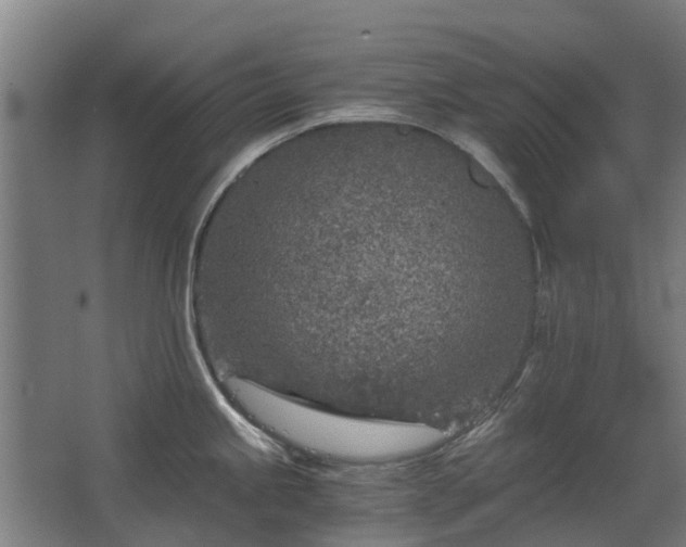 X0000068731245200605010951