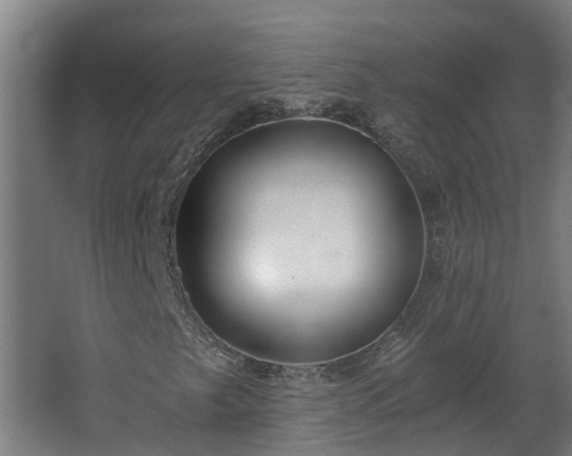 X0000068731249200605010950