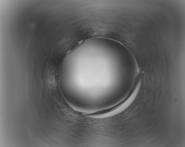 X0000068731250200605010950